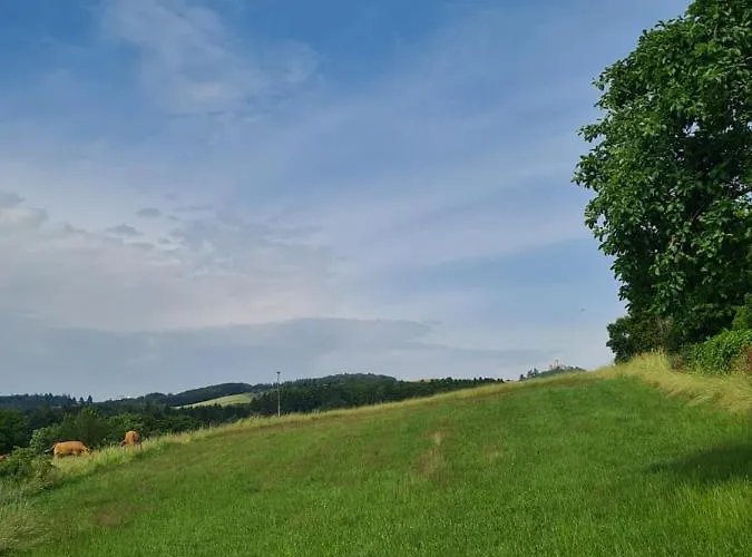 ゲストハウス Larifari