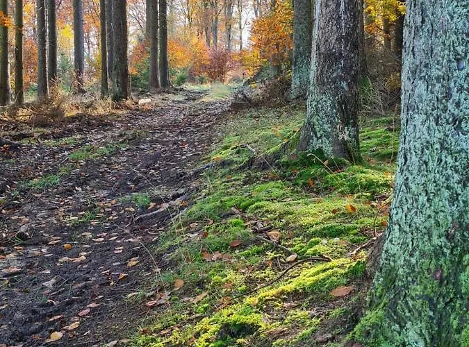 Larifari בית הארחה Drees